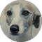 Sabine Wei Avatar